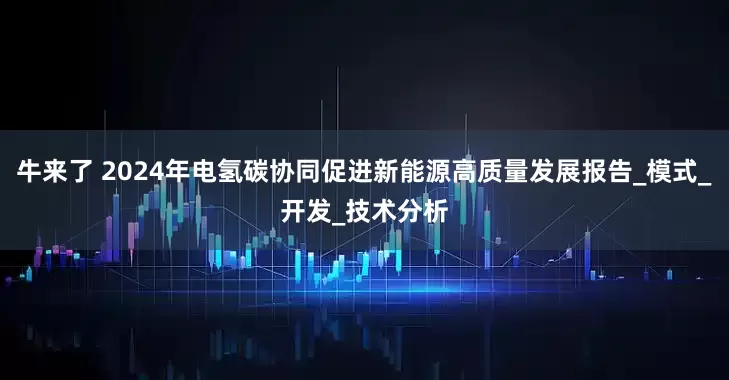 牛来了 2024年电氢碳协同促进新能源高质量发展报告_模式_开发_技术分析
