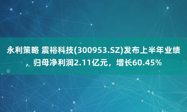 永利策略 震裕科技(300953.SZ)发布上半年业绩，归母净利润2.11亿元，增长60.45%